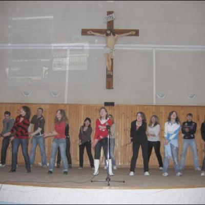 3 decembrie 2008: Săbăoani: Schimb de experienţă între tineri