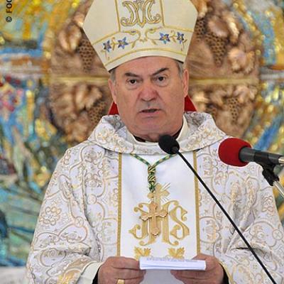 17 mai 2008: Iaşi: Comemorarea episcopului Durcovici (FOCUS)