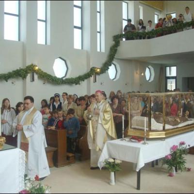 21 mai 2008: Tomeşti: Vizita patronului bisericii şi Litughie de hram