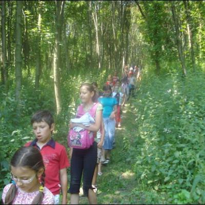 1-6 iulie 2008: Gioseni: Campus pentru copii şi tineri