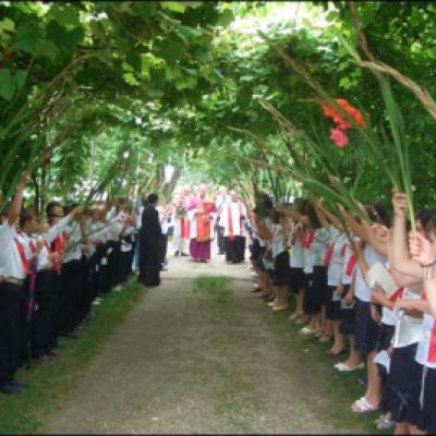 19 iulie 2008: Administrarea Mirului în Parohia Cleja