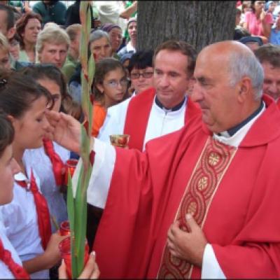 19 iulie 2008: Administrarea Mirului în Parohia Cleja