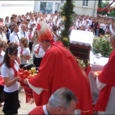 19 iulie 2008: Administrarea Mirului în Parohia Cleja