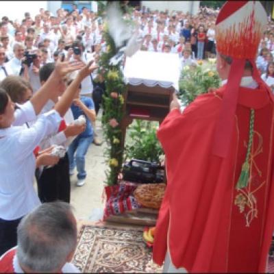 19 iulie 2008: Administrarea Mirului în Parohia Cleja