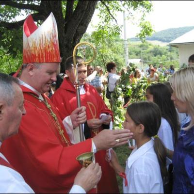 26 iulie 2008: Administrarea Mirului în Parohia Vladnic