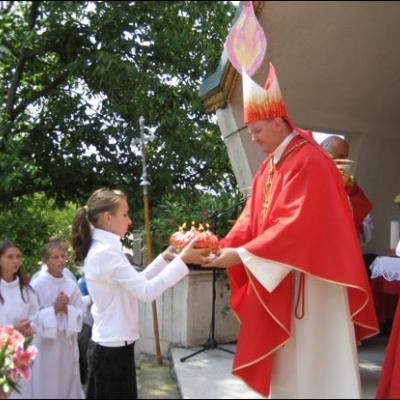26 iulie 2008: Administrarea Mirului în Parohia Vladnic