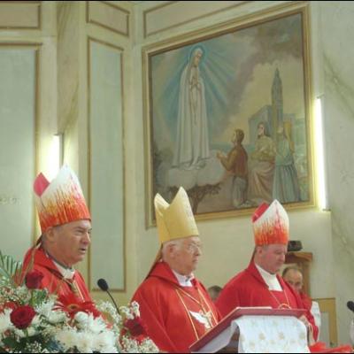 17 august 2008: Administrarea Mirului în Parohia Frumoasa