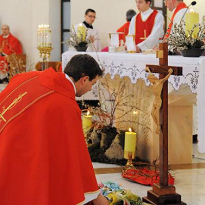 5 aprilie 2009: Iaşi: Duminica Floriilor şi Ziua Mondială a Tineretului (FOCUS)