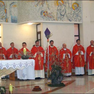 5 aprilie 2009: Iaşi: Liturghia tinerilor din Duminica Floriilor