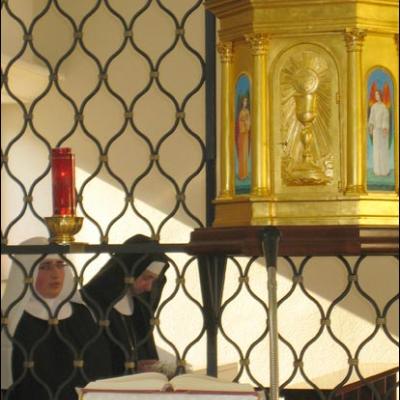 26 aprilie 2009: Viişoara: Ceremonial de înveşmântare la Mănăstirea "Maica Unităţii"