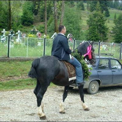 29-31 mai 2009: Vizita în Bucovina a nunţiului Poloniei, arhiep. Józef Kowalczyk