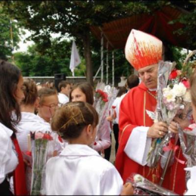 28 iunie 2009: Administrarea Mirului în Parohia Valea Seacă