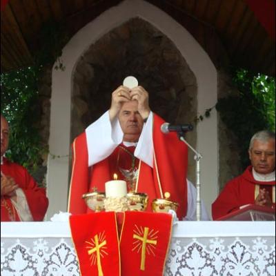 28 iunie 2009: Administrarea Mirului în Parohia Valea Seacă
