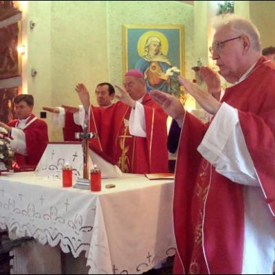 4 iulie 2009: Administrarea Mirului în Parohiile Vaslui şi Bârlad
