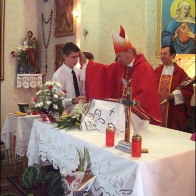 4 iulie 2009: Administrarea Mirului în Parohiile Vaslui şi Bârlad