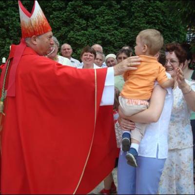 4 iulie 2009: Administrarea Mirului în Parohiile Vaslui şi Bârlad