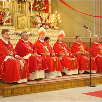 19 iulie 2009: Administrarea Mirului în Parohia Faraoani