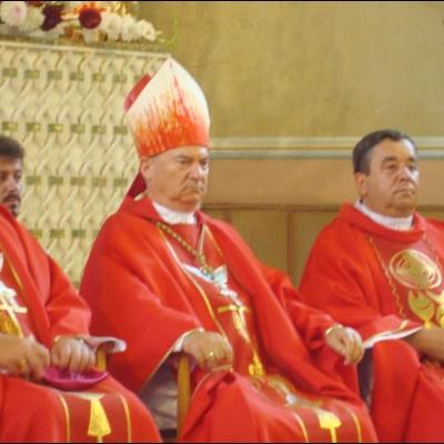 19 iulie 2009: Administrarea Mirului în Parohia Faraoani