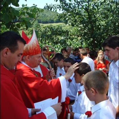 25 iulie 2009: Administrarea Mirului în Parohia Arini