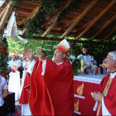 25 iulie 2009: Administrarea Mirului în Parohia Arini