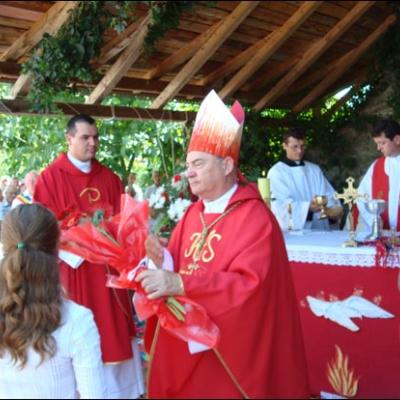25 iulie 2009: Administrarea Mirului în Parohia Arini