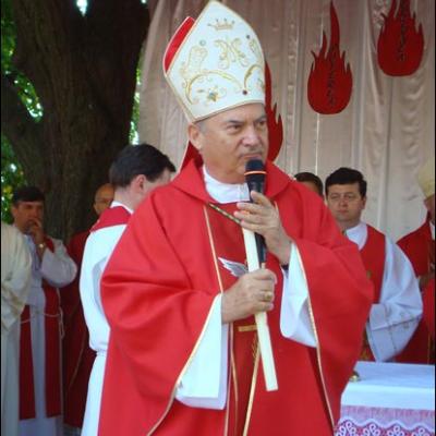 16 august 2009: Administrarea Mirului în Parohia Pildeşti