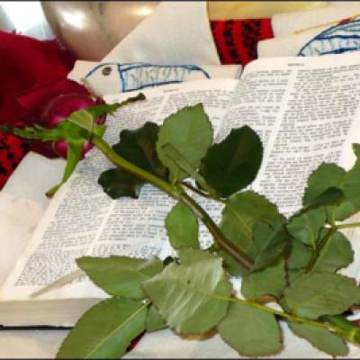 11 octombrie 2009: Iaşi (Parohia "Sf. Tereza"): Hram sub privirile sfinţilor (Foto: Ovidiu Bişog)