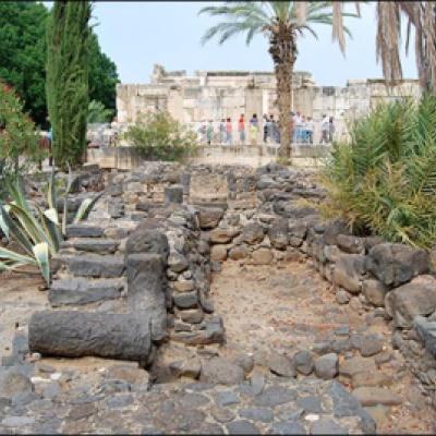15-22 octombrie 2009: Pelerin pe urmele lui Isus şi ale Mariei în Ţara Sfântă