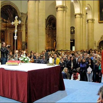 19 aprilie 2010: Torino: Pelerinajul românilor catolici la Giulgiu