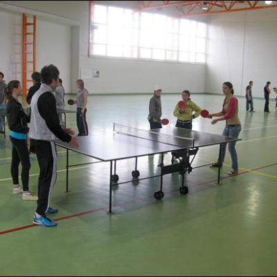 24 aprilie 2010: Nicolae Bălcescu: Cupa Kolping-Pong
