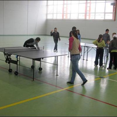 24 aprilie 2010: Nicolae Bălcescu: Cupa Kolping-Pong