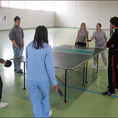 24 aprilie 2010: Nicolae Bălcescu: Cupa Kolping-Pong