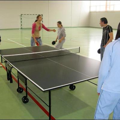 24 aprilie 2010: Nicolae Bălcescu: Cupa Kolping-Pong
