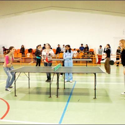 24 aprilie 2010: Nicolae Bălcescu: Cupa Kolping-Pong