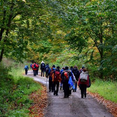 16-17 octombrie 2026: Bacău: Camino de România – Din Carpați spre Santiago: conferință, mărturii de credință și pelerinaj