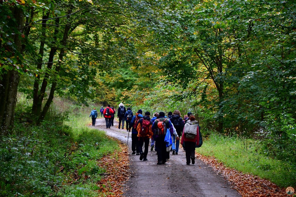16-17 octombrie 2026: Bacău: Camino de România – Din Carpați spre Santiago: conferință, mărturii de credință și pelerinaj