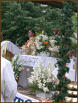 Pr. Mihai Damoc