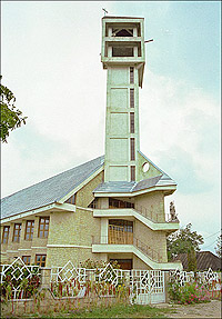 Lilieci