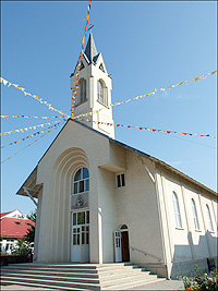 Arini