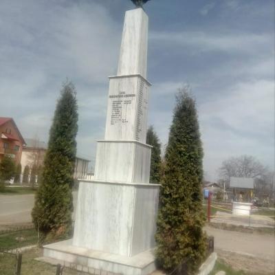 Eroii din Primul Război Mondial (LXXIII): Satu Nou - NT