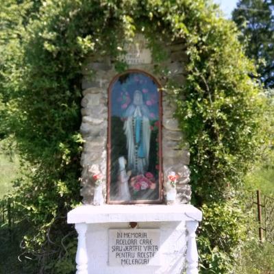 Eroii din Primul Război Mondial (XXX): Dumbrăveni şi Berindeşti