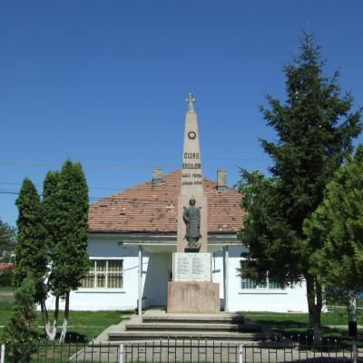 Eroii din Primul Război Mondial (XXIV): Schineni
