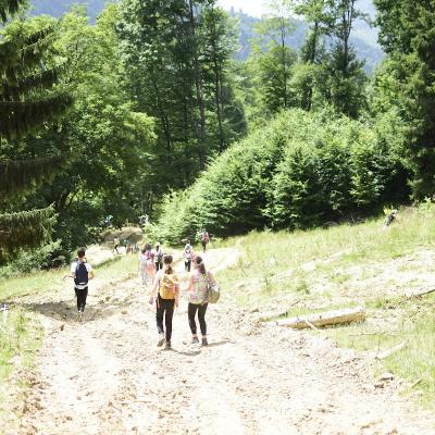 1-4 iulie: Bacău "Sfântul Nicolae": Campus la Pârâul Rece pentru copii