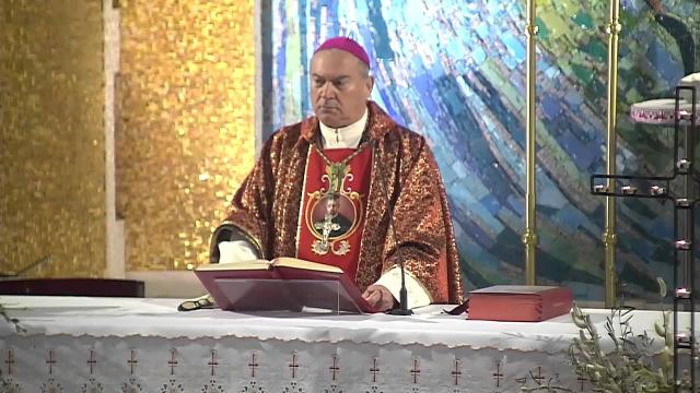 Iaşi (catedrală): Sfânta Liturghie de la ora 11.00 din Duminica Floriilor
