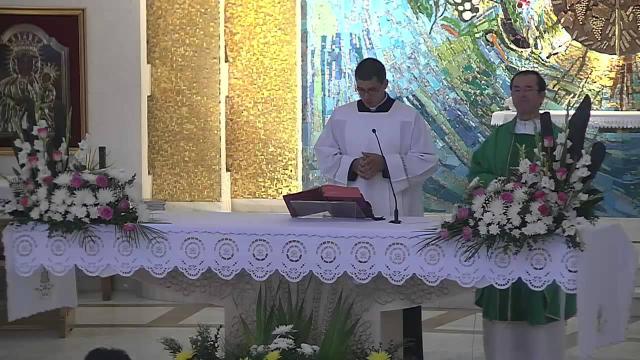 Iaşi (catedrală): Liturghia solemnă din duminica a 16-a de peste an (C) (21 iulie)