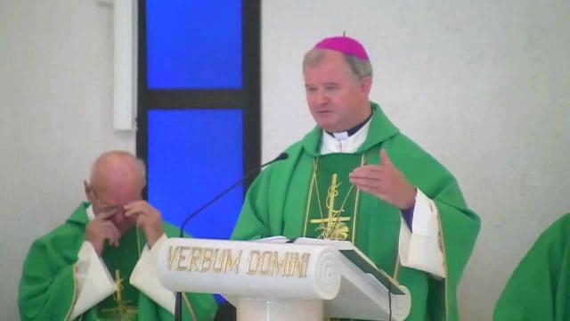 Iaşi (catedrală): Liturghia solemnă din duminica a 15-a de peste an (C) (14 iulie)