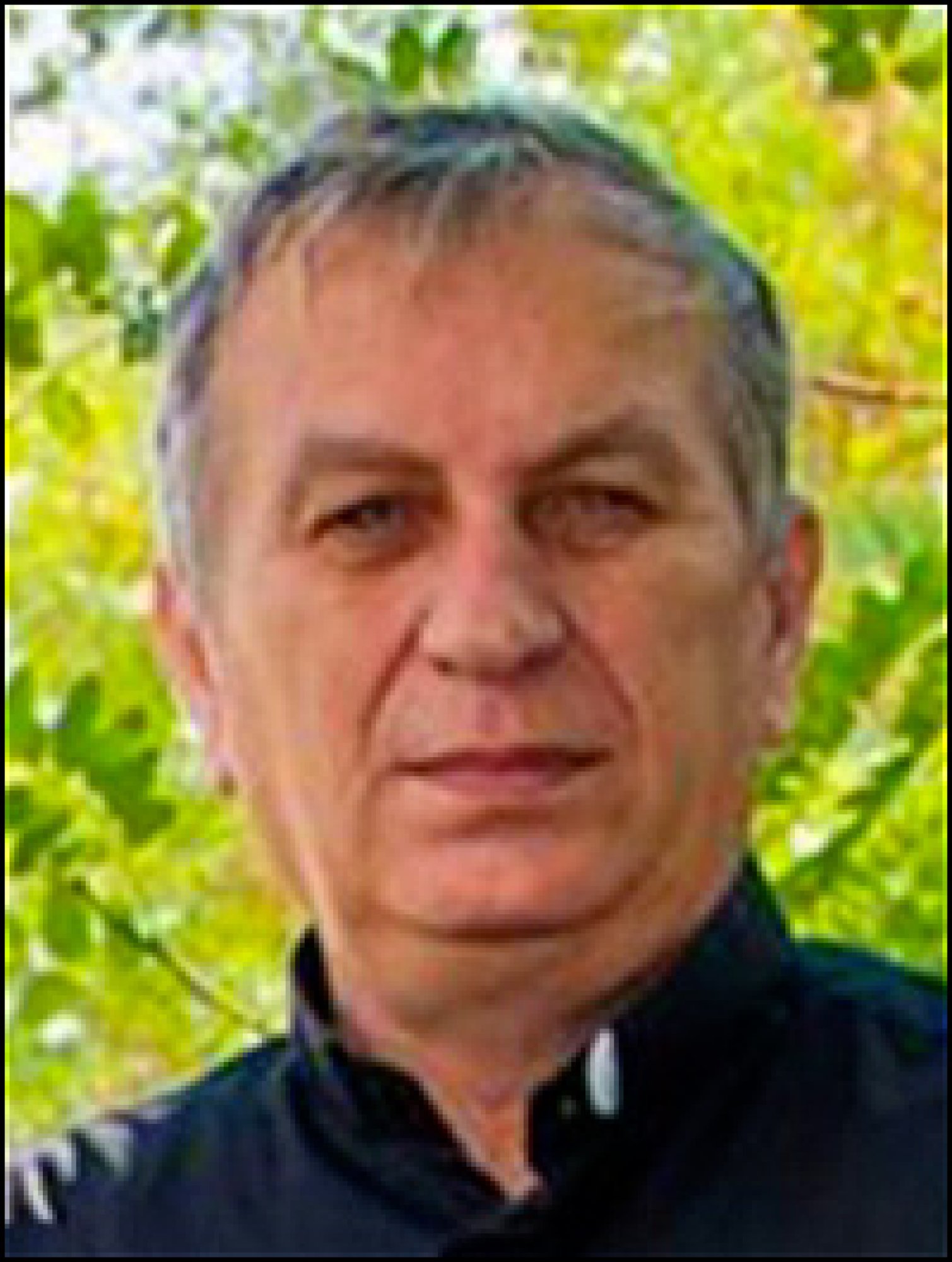 Alecu Anton