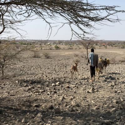 29 iulie – 7 august 2026: Kenya: Vizita voluntarilor Centrului Misionar Diecezan de Iași în filialele misiunii din Maikona (I)