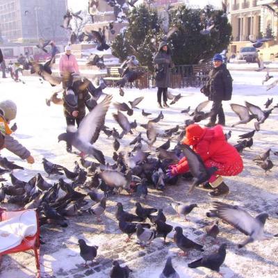 19 decembrie: Şcheia-Iaşi: O zi de naştere specială