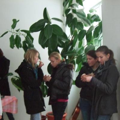 22 ianuarie: Bacău: "Sexualitatea - limbajul misterios al iubirii"